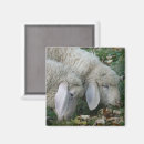 Suche nach tyrol magnete Schafe