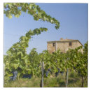 Suche nach toskana fliesen Trauben