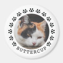 Suche nach schwarze katze magnete Für haustiere