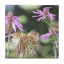 Suche nach lilac fliesen Hübsch