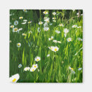 Suche nach blumenwiese magnete Natur