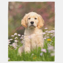 Suche nach goldene retriever decken Welpe