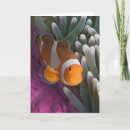 Suche nach clownfische karten Korallenriff