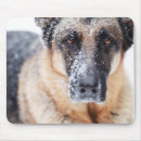 Suche nach naht mousepads Haustier