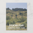 Suche nach cactus postkarten Wüste