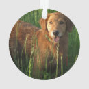 Suche nach golden retriever ornamente Jede person