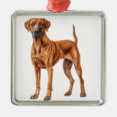 Suche nach rhodesian ridgeback hund ornamente Rassenstücke