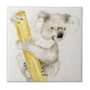 Suche nach koala fliesen Tiere