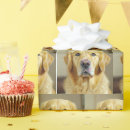 Suche nach nase geschenkpapier Für alle