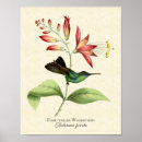 Suche nach nymphe poster Natur