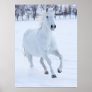 Suche nach pferde schnee poster Winter