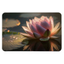 Suche nach lotus magnete Wasserlilie