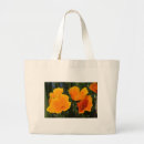 Suche nach mohnblumen leinwand Orange