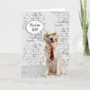 Suche nach lustige 50 geburtstags hund Jede person