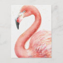 Suche nach flamingo rosa postkarten Tier