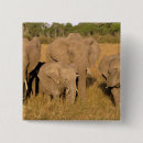 Suche nach afrikanischer elefant buttons Tierwelt