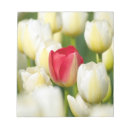 Suche nach felder notizblock Nordamerika