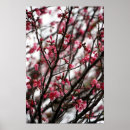 Suche nach rosa blüten auf baum poster Bäume