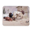 Suche nach studie karten Tier