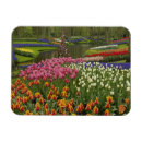 Suche nach keukenhof magnete Niederlande