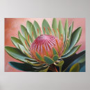 Suche nach protea poster Botanisch