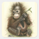 Suche nach orang utans aufkleber Wild