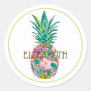 Suche nach tropische ananas aufkleber Jede person