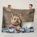 Suche nach yorkshire terrier decken Yorkie