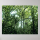 Suche nach costa rica poster Tropisch