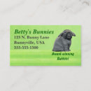 Suche nach holland visitenkarten Kaninchen