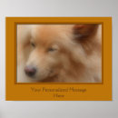 Suche nach lieblinge poster Hund