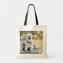 Suche nach labrador retriever taschen Lächeln