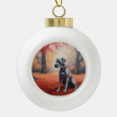 Suche nach deutsche doggen ornamente Für alle