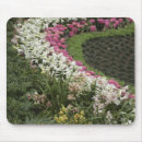 Suche nach heide an mousepads Blume