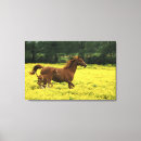 Suche nach fohlen poster leinwandbilder Landschaft