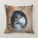 Suche nach vogelbabys Babytiere
