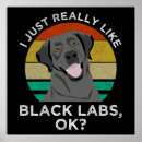 Suche nach schwarzer labrador retriever hund poster Hunde