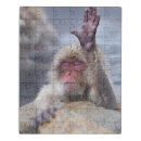 Suche nach affe puzzle japanische makaken