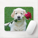 Suche nach golden retriever welpe mousepads Haustier