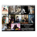 Suche nach andere welten kalender Katze