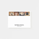 Suche nach foto post it Haustier