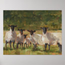 Suche nach lamm poster Lämmer