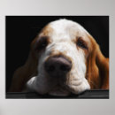 Suche nach tierkopf poster Horizontal