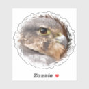 Suche nach falcone aufkleber Jede person