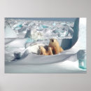 Suche nach bears poster Tierwelt