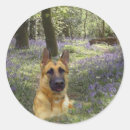 Suche nach gsd aufkleber Hunde