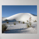 Suche nach yucca poster Landschaft