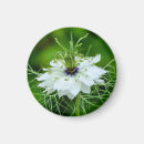 Suche nach kornblumen magnete Für alle