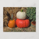 Suche nach november postkarten Herbst
