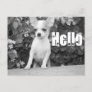 Suche nach missing you postkarten Dog